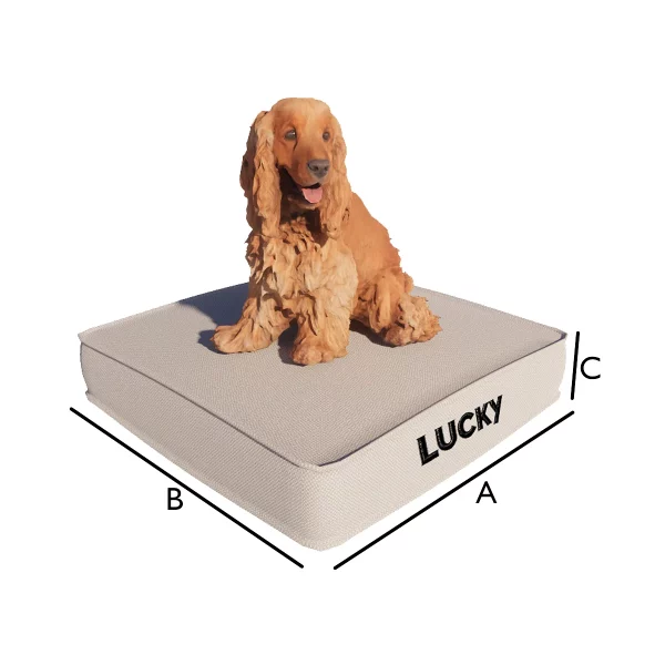 Coussin pour chien