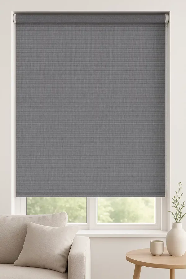 Store Enrouleur Screen