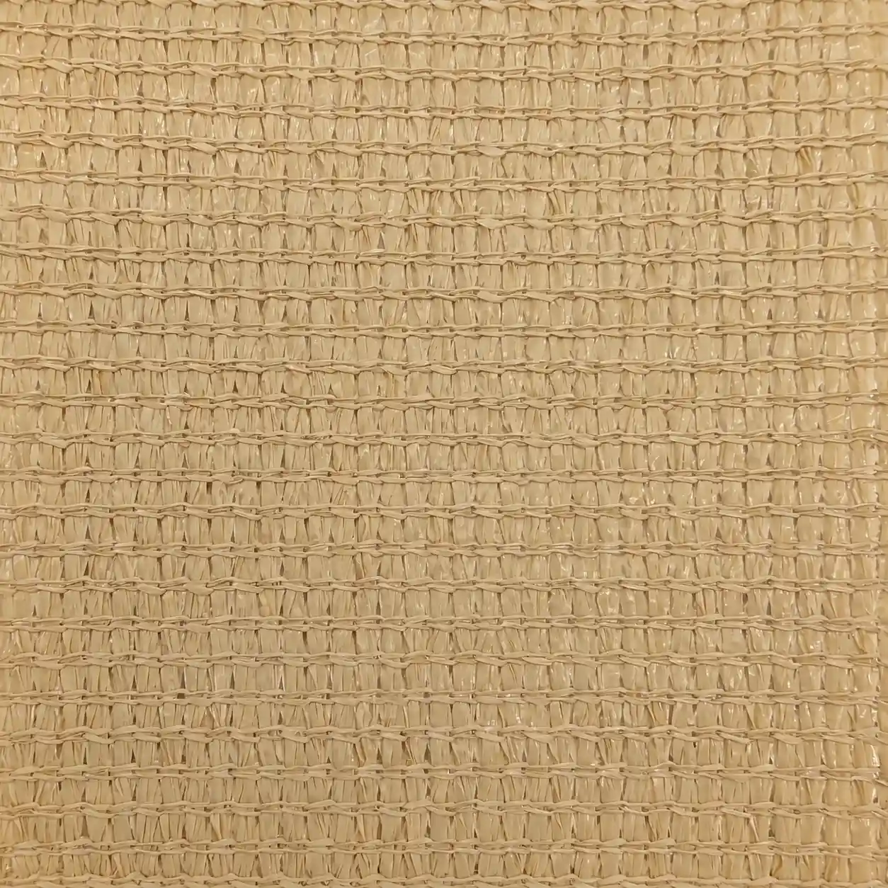 Texture de la toile Mesh beige